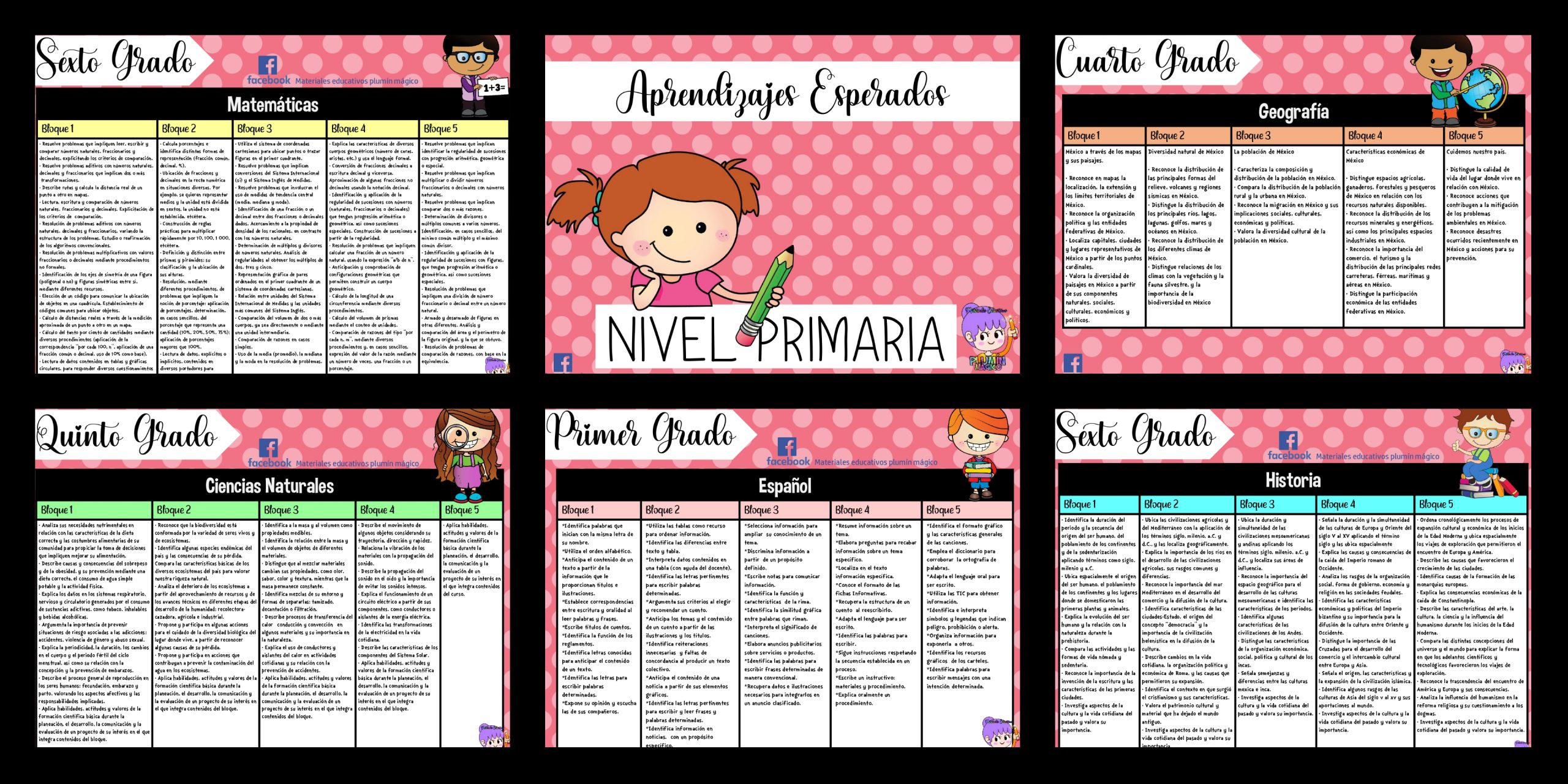 Aprendizajes Esperados De Ciencias Naturales Sexto Grado storage.googleapis.com