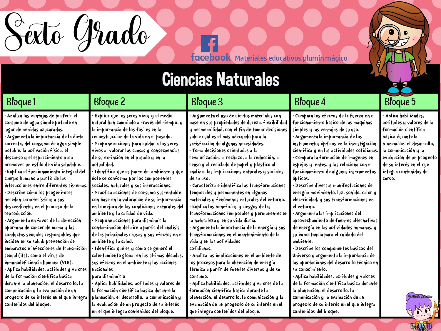 APRENDIZAJES ESPERADOS EN TODOS LOS GRADOS DE PRIMARIA – Imagenes