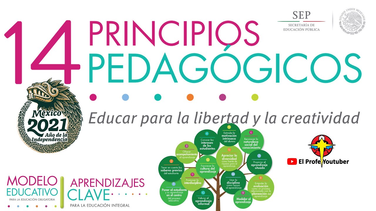 14 PRINCIPIOS PEDAGÓGICOS NUEVO MODELO EDUCATIVO – Imagenes Educativas