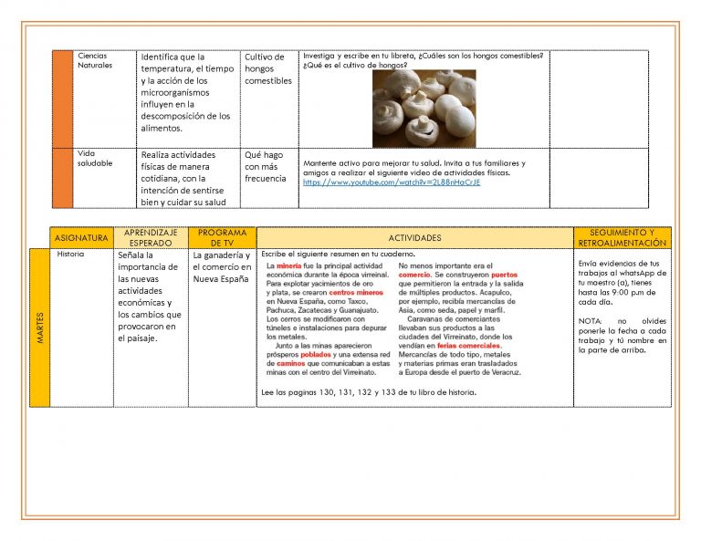 EDITABLES PLAN DE TRABAJO SEMANA 31 del 26 AL 30 de ABRIL GRADOS 4º,5º ...