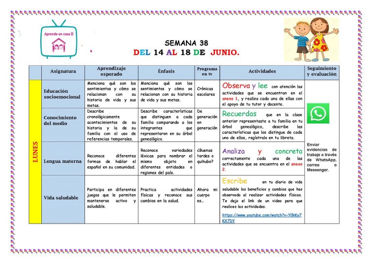PLAN DE TRABAJO SEMANA 38 del 14 AL 18DE JUNIO TODOS LOS GRADOS Y ...