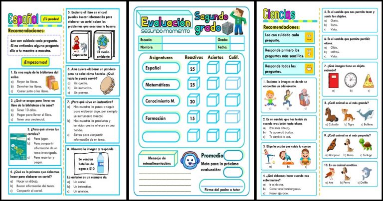 Segundo 2º 2º GRADO EXAMEN SEGUNDO TRIMESTRE SEGUNDO GRADO - Imagenes Educativas