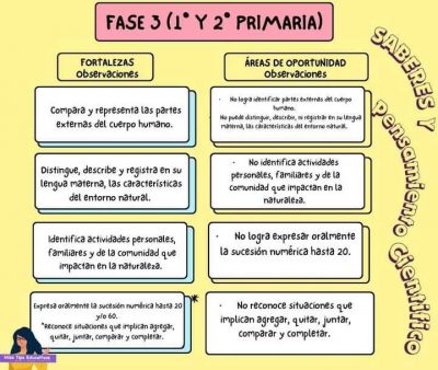 FORMATOS-PARA-OBSERVACIONES-DE-BOLETAS-POR-CAMPO-FORMATIVO-FASE-3-4-Y-5