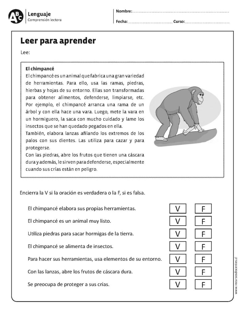 40 fichas de compresión lectora primer ciclo - Imagenes Educativas