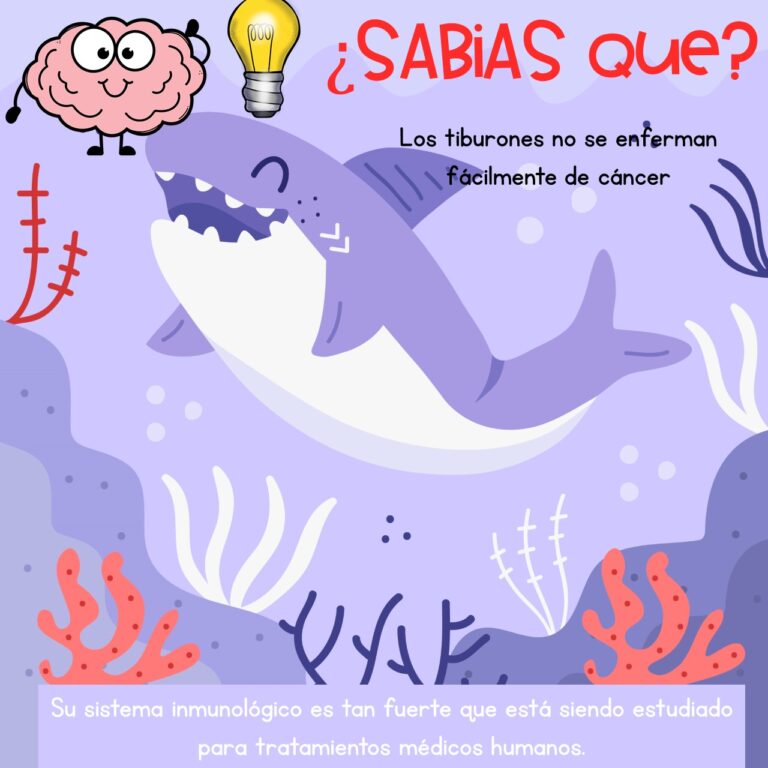 10 Datos Curiosos Sobre Los Animales Para Niños 9 Imagenes Educativas